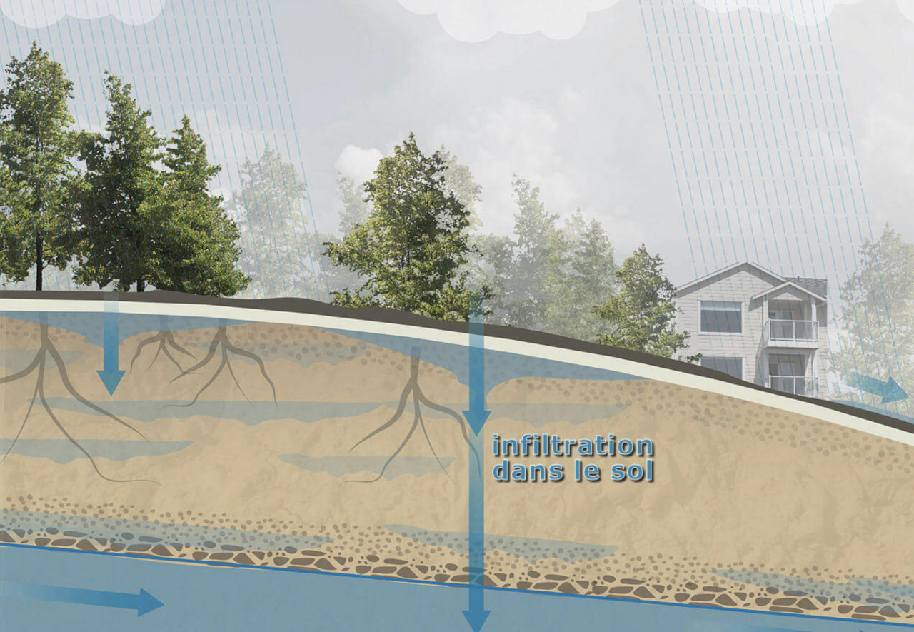Infiltration d'eau dans les soussols quelle inspection — free download