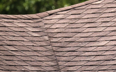 Inspection des noues de toiture : comment détecter une infiltration sans monter sur le toit